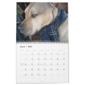 Je hebt het huis van Ed Groves bereikt Kalender (Mar 2027)