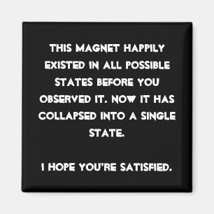 Je hebt het ingestort! Quantum Physics Humor Magneet