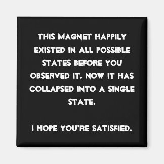 Je hebt het ingestort! Quantum Physics Humor Magneet