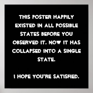 Je hebt het ingestort! Quantum Physics Humor Poster
