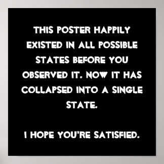 Je hebt het ingestort! Quantum Physics Humor Poster