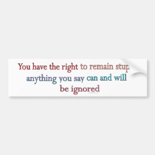 Je hebt het recht om stout te blijven. bumpersticker