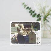 Je hebt Mail Briefkaart (Staand voorkant)