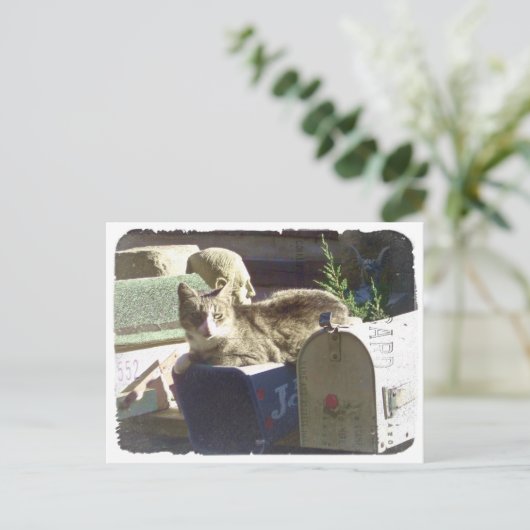 Je hebt Mail Briefkaart (Staand voorkant)