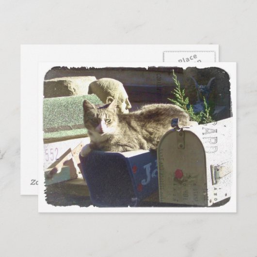 Je hebt Mail Briefkaart (Voorkant / Achterkant)