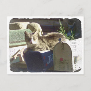 Je hebt Mail Briefkaart