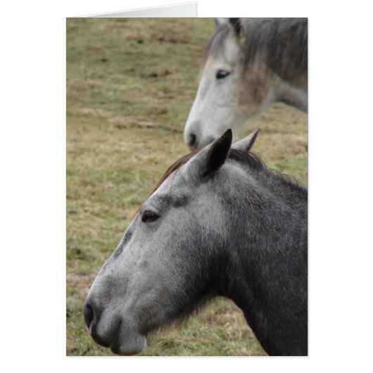 Je hebt me gemaakt, maar ik hou nog steeds van je (Voorkant)