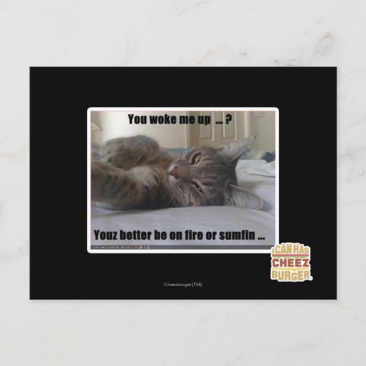 Je hebt me wakker gemaakt briefkaart (Voorkant)