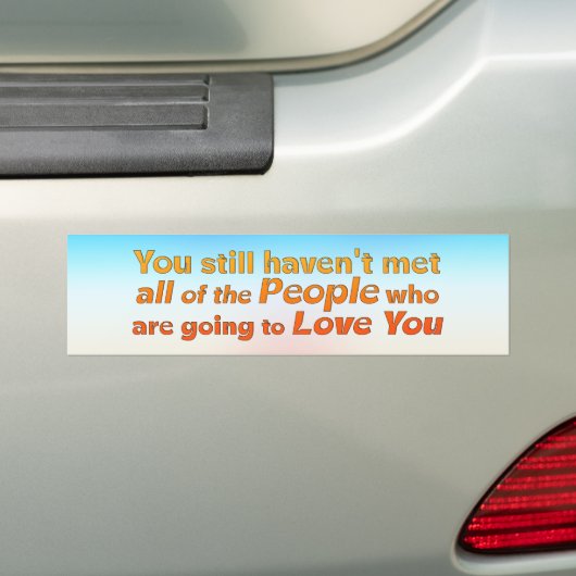 Je hebt nog steeds niet ontmoet.. bumpersticker (Op auto)