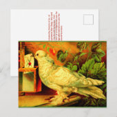 Je hebt post! briefkaart (Voorkant / Achterkant)