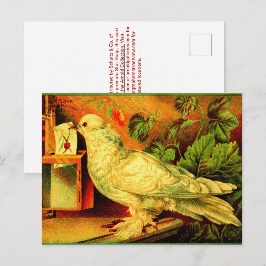 Je hebt post! briefkaart (Voorkant / Achterkant)