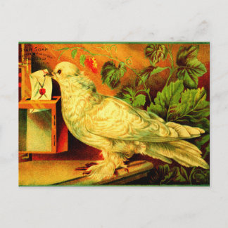 Je hebt post! briefkaart