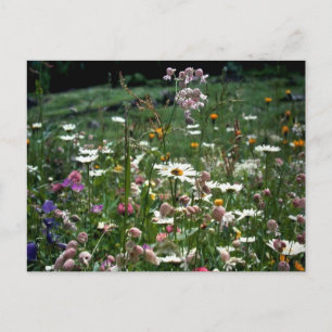 JE HOEFT DE NATUUR VAN HET LEVEN NIET TE BEGRIJPEN BRIEFKAART