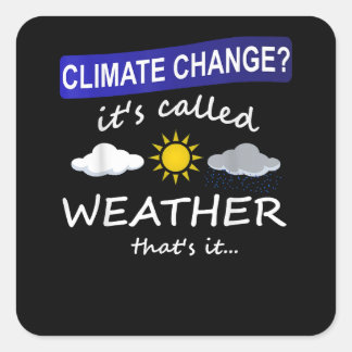 Je hoeft geen zonnige Florida Home Bea te schoppen Vierkante Sticker