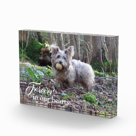Je hond Foto voor altijd in ons hart (Rechts)
