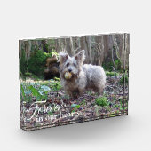 Je hond Foto voor altijd in ons hart (Links)