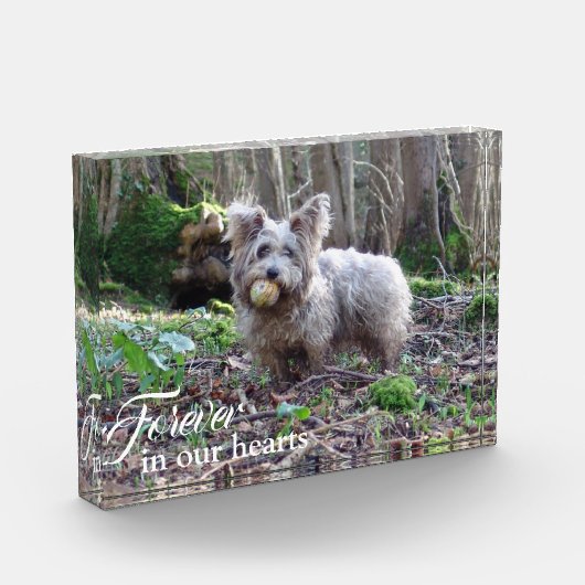 Je hond Foto voor altijd in ons hart (Links)