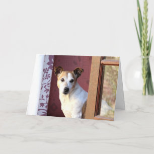 Je hond missen kaart