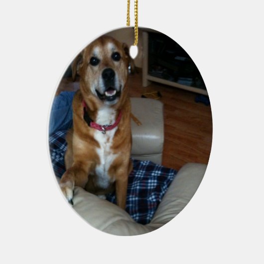 Je hond op een ornament (Rechts)