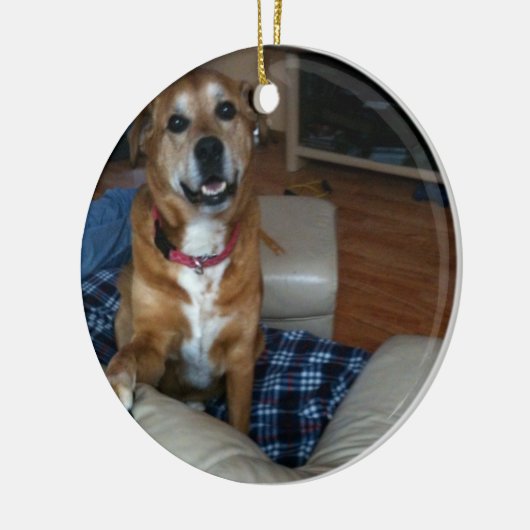 Je hond op een ornament (Links)