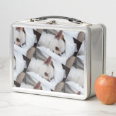 Je hond van een huisdier, aangepast foto chihuahua (In situ)