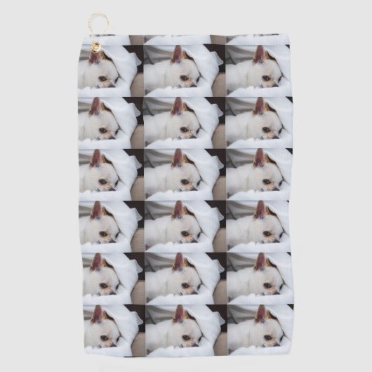 Je hond van een huisdier, aangepast foto chihuahua golfhanddoek (Voorkant)