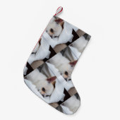 Je hond van een huisdier, aangepast foto chihuahua kleine kerstsok (Voorkant (Hangend))