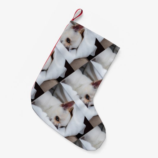 Je hond van een huisdier, aangepast foto chihuahua kleine kerstsok (Voorkant (Hangend))