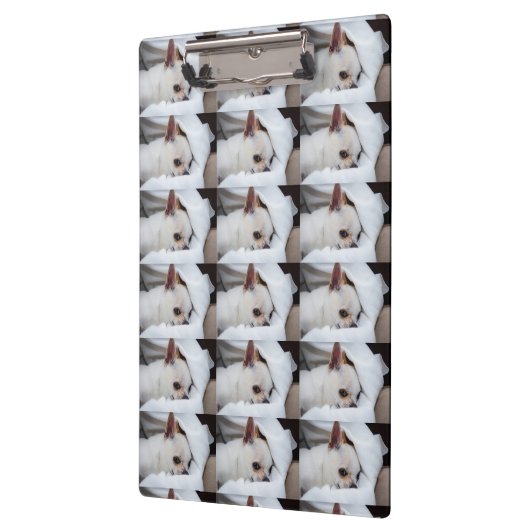 Je hond van een huisdier, aangepast foto chihuahua klembord (Links)