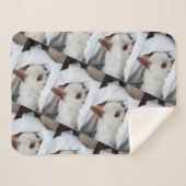 Je hond van een huisdier, aangepast foto chihuahua sherpa deken (Voorkant (horizontaal))