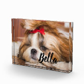 Je hond van een huisdier, aangepaste foto en naam (Rechts)