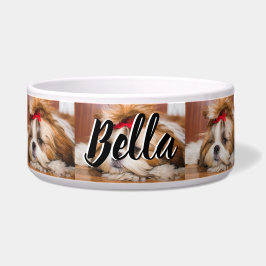 Je hond van een huisdier past een aangepast fotopa voerbakje