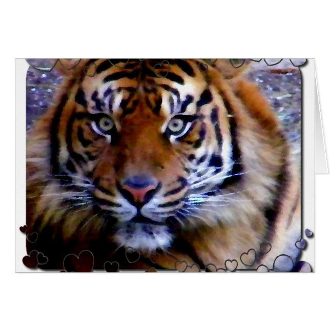 Je houden_ (Voorkant Horizontaal)