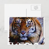 Je houden_ briefkaart (Voorkant / Achterkant)