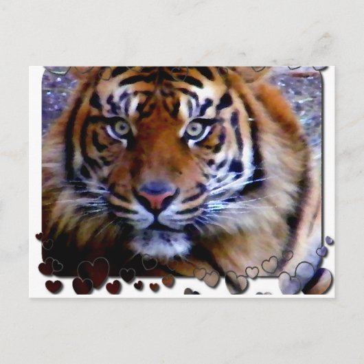 Je houden_ briefkaart (Voorkant)