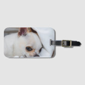 Je huisdier hond puppy aangepaste foto chihuahua bagagelabel (Voorkant (horizontaal))