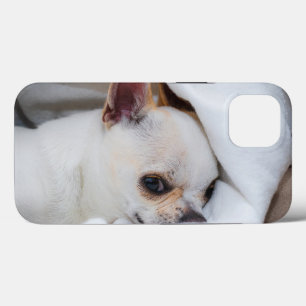 Je huisdier hond puppy aangepaste foto chihuahua Case-Mate iPhone case