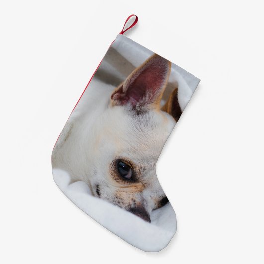Je huisdier hond puppy aangepaste foto chihuahua kleine kerstsok (Voorkant (Hangend))