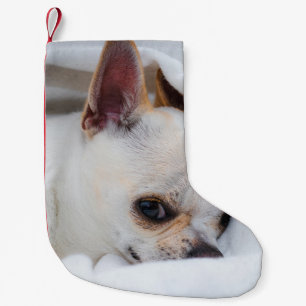 Je huisdier hond puppy aangepaste foto chihuahua kleine kerstsok