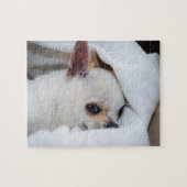 Je huisdier hond puppy aangepaste foto chihuahua legpuzzel (Horizontaal)