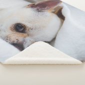 Je huisdier hond puppy aangepaste foto chihuahua sherpa deken (3/4)