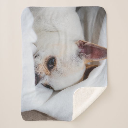 Je huisdier hond puppy aangepaste foto chihuahua sherpa deken (Voorkant)