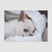 Je huisdier hond puppy aangepaste foto chihuahua tissuepapier (Voorkant)