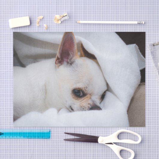 Je huisdier hond puppy aangepaste foto chihuahua tissuepapier (Craft)