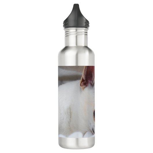 Je huisdier hond puppy aangepaste foto chihuahua waterfles  (Links)