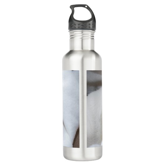 Je huisdier hond puppy aangepaste foto chihuahua waterfles (Achterkant)