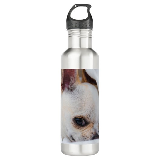 Je huisdier hond puppy aangepaste foto chihuahua waterfles  (Voorkant)