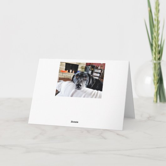 Je inchecken | Cute Dog Personalized Kaart (Achterkant)