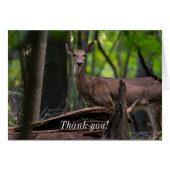 Je kaart uitchecken Hartelijk dank (Voorkant Horizontaal)