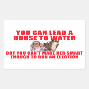 Je kan een paard naar water leiden rechthoekige sticker